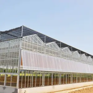 टमाटर उगाने के लिए टर्नकी प्रोजेक्ट कृषि पॉलीकार्बोनेट ग्रीनहाउस