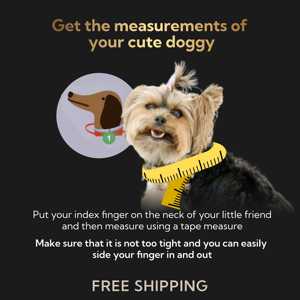 ของขวัญหนังอิตาเลียนสีฟ้าสำหรับคนรัก-อุปกรณ์ตกแต่งสีทองและปลอกคอสุนัขหนังแท้ - Product Image 6