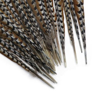 Bán Buôn Chất Lượng Cao 45-60Cm Tự Nhiên Ringneck Gà lôi Đuôi Lông Cho Fly Buộc Lễ Hội Trang Phục Mũ Ba Lô - Product Image 6