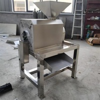 Industriële grootschalige fruit- en groentepulp- en pureermachine van roestvrij staal, horizontaal, 220V, capaciteit 20kg/u