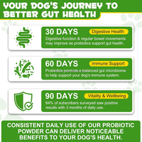 Poudre de probiotiques et prébiotiques pour chiens, 12 souches de bactéries bénéfiques, complément nutritionnel pour animaux de compagnie
