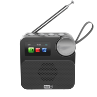 DAB-Radio mit LCD-Display, Wecker, Tragbares Kompaktes Plastikgehäuse, Kabelloses Digitalradio