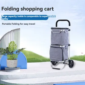 Trolley Shopping Cart With 2 Wheels Grocery Foldable Cart Wholesale Shopping Trolley Bags