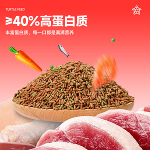 Turtle Feed High <b>Protein</b> Pellets For All Turtles Growth Support - Product Image 1