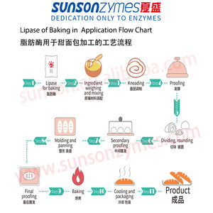 ליפיאז מזון למאפייה כדי לשפר את היציבות של הבצק, הלובן, אמולסיה - Product Image 4