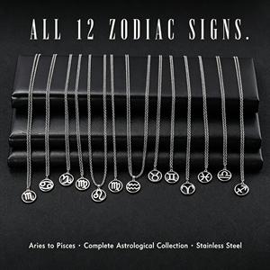 Collier Pendentif en Acier Inoxydable Argenté Anti-ternissement, 12 Signes du Zodiaque, Astrologie, pour Femme, Vente en Gros - Product Image 1