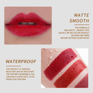 Nóng nhất bán OEM bán buôn Mỹ phẩm nhãn hiệu riêng thời trang phụ nữ trang điểm Kem Matte son môi - Product Image 2