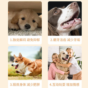 Balle de jeu pour animaux de compagnie, jouet à mâcher pour chien, en TPR durable, en forme de ballon de rugby, qui fait du bruit, taille moyenne, pour le nettoyage des dents et les soins dentaires - Product Image 5
