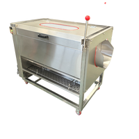 Professionele Borstelschilmachine Industriële Roller Groente Wasmachine Commerciële Wortelgewas Reinigingsapparatuur