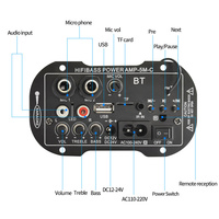 Caisson de basses actif SF5 220V personnalisable pour karaoké à domicile, double microphone, récepteurs radio FM et amplificateurs