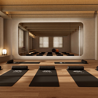 Vente en gros en usine Miroir mural de salle de sport pour studio de danse complet intérieur haute définition de grande taille avec lumière LED