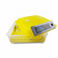 Incubateur à Poulets Automatique Professionnel Mini Solaire HHD 48 Œufs à Vendre