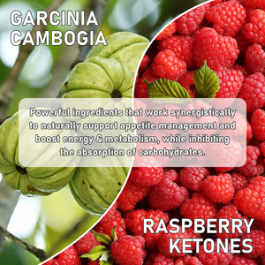 Cápsulas Quemagrasas a Precio de Mayoreo, Contienen Extracto de Garcinia y Extracto de Té Verde, Promueven la Quema de Grasa, Cápsulas Adelgazantes - Product Image 4