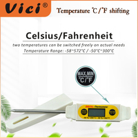 Vicimètre stylo plat type sonde en acier inoxydable détection numérique LED blanc noir Thermomètre
