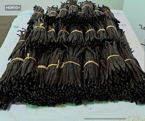 Gousse de vanille noire TK Vanille Harvest 14-20cm 1kg/2kg Gousses brillantes et pulpeuses de Madagascar SAVA - Product Image 3