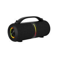Altavoz Inalámbrico BT Impermeable BKK con Luz RGB, Portátil, Compatible con Radio FM, USB y Tarjeta TF