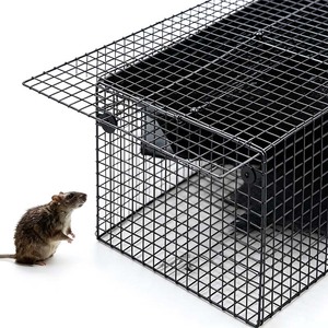 Grille en acier inoxydable rectangulaire personnalisée, maille grillagée/tissage plat 800x600mm pour la protection <span class=keywords><strong>anti</strong></span>-rongeurs des bâtiments - Product Image 1