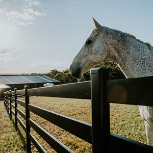 Postes y Paneles de Cerca para Ranchos y Granjas de Acero Galvanizado - Product Image 2