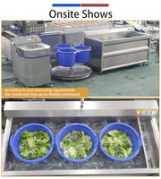 Fruit- en groente ozon ultrasone sterilisator wasmachine centrifuge droger voor groenteverwerkingsbedrijf maïs 400-600kg/u
