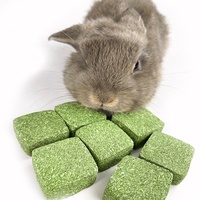 Lapins Timothy friandises pour lapin cochon d'inde Hamster cochons d'inde chinchillas collations molaires nourriture lapin friandises