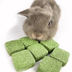 Conejitos <span class=keywords><strong>Timothy</strong></span> golosinas para conejo conejillo de indias hámster conejillos de indias chinchillas Molar Snacks comida conejo golosinas - Product Image 6