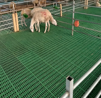 Plancher à lattes en plastique sur mesure pour ferme d'élevage, anti-dérapant, facile à nettoyer, pour l'évacuation du fumier de chèvres et de moutons