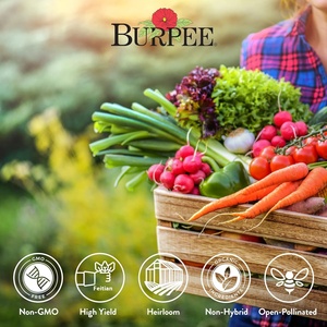 Kit di Semi di Ortaggi Burpee Heirloom, Oltre 35 Varietà Non-OGM per Giardino, Include Lattuga, Fagioli, Zucca per Vasi e Fioriere - Product Image 3