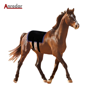 Taille personnalisée Longueur d'onde Portable 440nm 660nm 850nm Chevaux Thérapie équine Coussinets de thérapie par la lumière bleue pour le dos des chevaux - Product Image 6