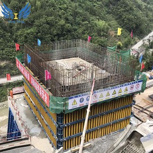 Lianggong H20 gỗ chùm điều chỉnh cột & tường ván khuôn trong Indonesia - Product Image 4