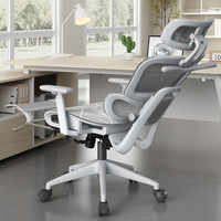 Silla de oficina ergonómica de malla para estar sentado por largos períodos, silla de escritorio para el hogar, diseño moderno minimalista, reposabrazos ajustables en altura