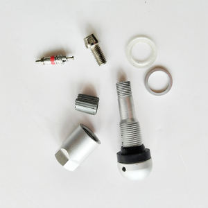 Tige de <span class=keywords><strong>Valve</strong></span> de pneu <span class=keywords><strong>TPMS</strong></span> pour système de surveillance de la pression des pneus BMW,<span class=keywords><strong>Kia</strong></span>,Vovol, Audi - Product Image 1