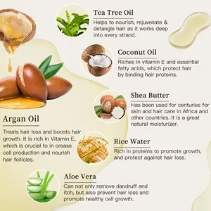 Sulfate Free Private Label Vegan Organic Tea Tree Anti Dandruff Repair Argan Oil Natural Rice Water Biotin Hair Growth Shampoo