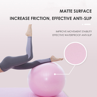 Ballon de Gymnastique Gonflable en PVC Souple de 65 cm pour Exercices de Yoga et Fitness – Vente Flash