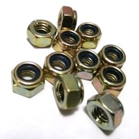 Fabricant chinois DIN985 DIN982 Écrous autobloquants galvanisés M5 M6 M8 M10 M12 avec insert en nylon