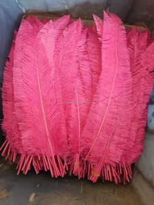 Plumas de avestruz recortadas <span class=keywords><strong>Nandu</strong></span> de 50cm para fiesta, hogar, boda, jarrón, decoración artesanal, sombrero Floral, tocado, sombrerería, accesorio para la cabeza - Product Image 6