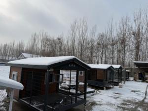 친환경 야외 애완동물 하우스 소형 중형 대형 사이즈 내구성 있는 재활용 가능한 대형 중형 소형견용 개집 - Product Image 6