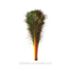 Pack of 100 Pieces Stem Dyed Peacock Eye Tail <strong>Feather</strong> 20 Inch+ - Product Image 6
