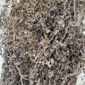 HOT SALE NATURAL BLACK <b>GRASS</b> JELLY LEAVES/<b>DRIED</b> JELLY <b>GRASS</b> STICKS/VIETNAMESE SWEET JELLY - Product Image 1