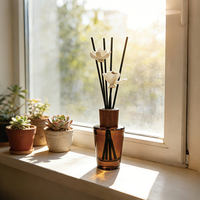 Diffuseurs de parfum, diffuseurs d'arômes, ensembles de diffuseurs à bâtonnets de luxe, diffuseurs d'huiles essentielles, diffuseurs de fragrances pour la maison