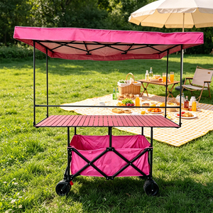 Chariot de marché mobile pliable avec auvent et plateau, robuste et pliable, pour marchés aux producteurs, foires artisanales, camping - Product Image 6