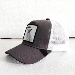 หมวกเบสบอลผ้าฝ้าย5ชิ้นแผ่นปะติดหมวกปีกโค้งปักลายออกแบบได้ตามต้องการ - Product Image 4