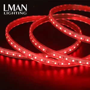 Bande lumineuse LED RGB 5050, lumière de largeur de 10MM, étanche, décoration commerciale