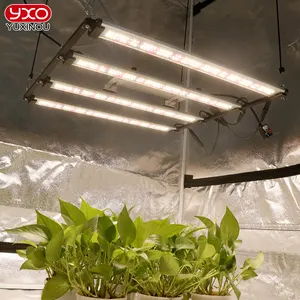 新款650w LM301H发光二极管技术发光二极管生长灯条独立控制室内植物紫外/红外全光谱植物灯