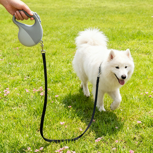 Guinzaglio per cani retrattile automatico per animali domestici 5m guinzaglio per cani di piccole e medie dimensioni - Product Image 2