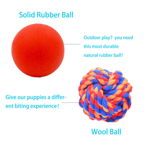 2026 New Product Direct Supply Custom Low Price <b>Interactive</b> Luxury Dog <b>Toys</b> Rubber <b>Toy</b> - Product Image 3
