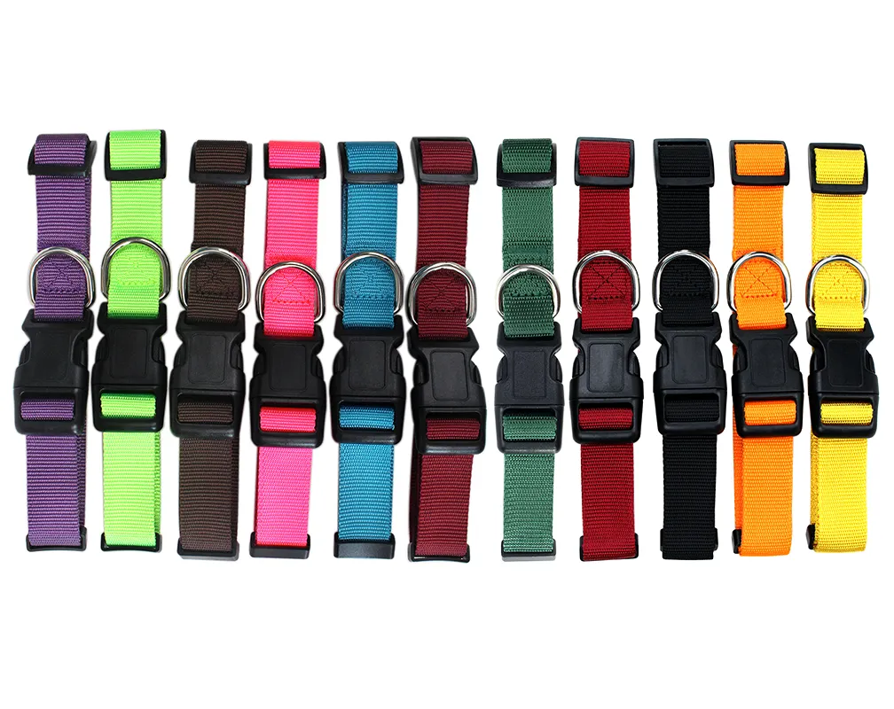 High quality ECO-firendly Different colors and size large nylon webbing dog collar for big dog