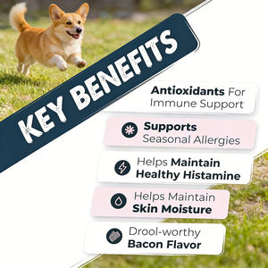 米国EUで大人気！アレルギー対策免疫強化犬用チュアブルサプリメント OEM/ODM ペット用オメガ3＆ケルセチン配合 犬のアレルギー対策・かゆみ止め - Product Image 6