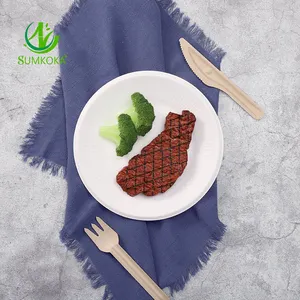 Parti için 100% Compostable 6 Inch tek kullanımlık ağır hizmet plakaları çevre dostu şeker kamışı biyobozunur plaka