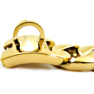 Collari di Lusso in Oro per Cani di Taglia Grande, Kit Guinzaglio Hip Hop per Animali Domestici, Collari a Strappo, Collare e Guinzaglio, Catena per Cani Stile Bully Link Cuban - Product Image 6
