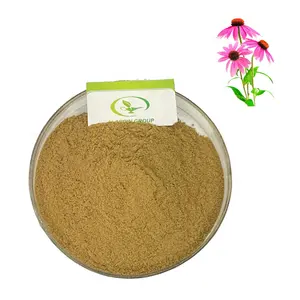 Extracto de Echinacea purpurea en polvo, gran oferta